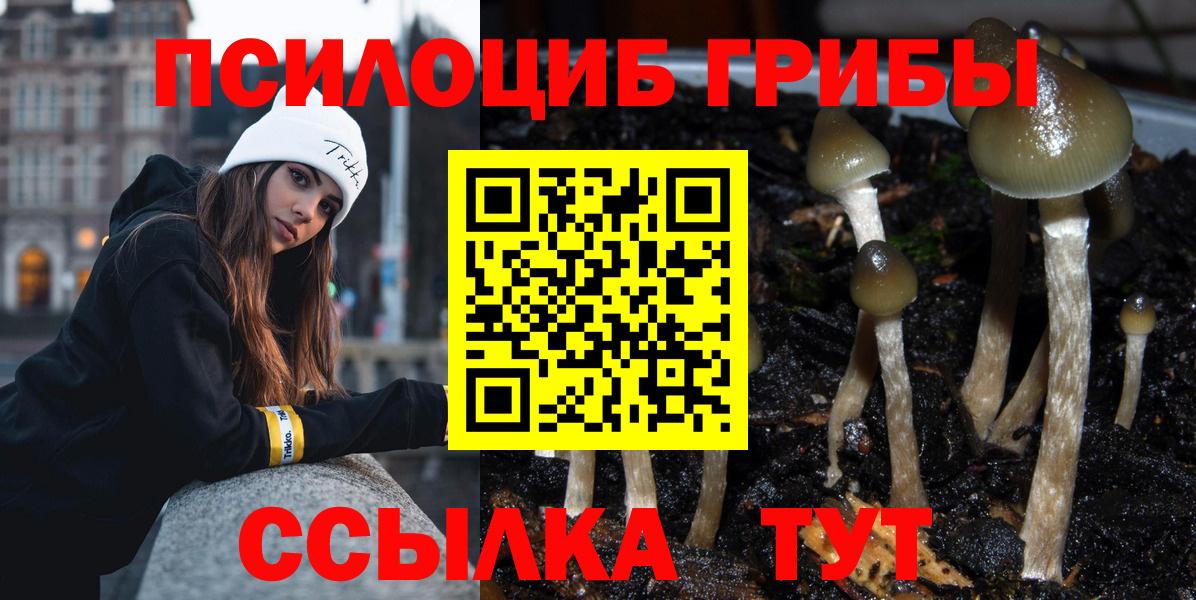Ревда  Галлюциногенные грибы Cubensis  Вход с VPN 