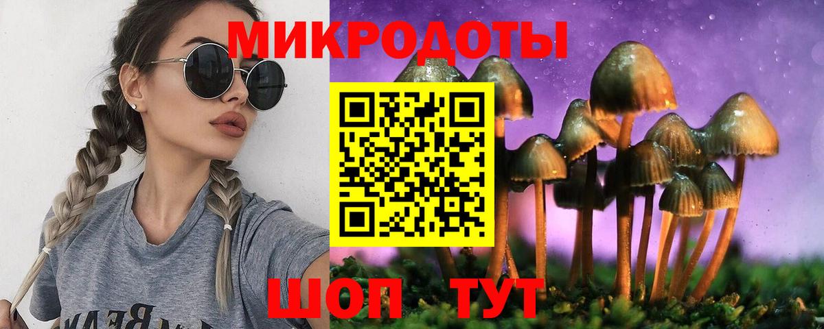 Псилоцибиновые грибы мухоморы  Вход с VPN  купить закладку  Ревда 